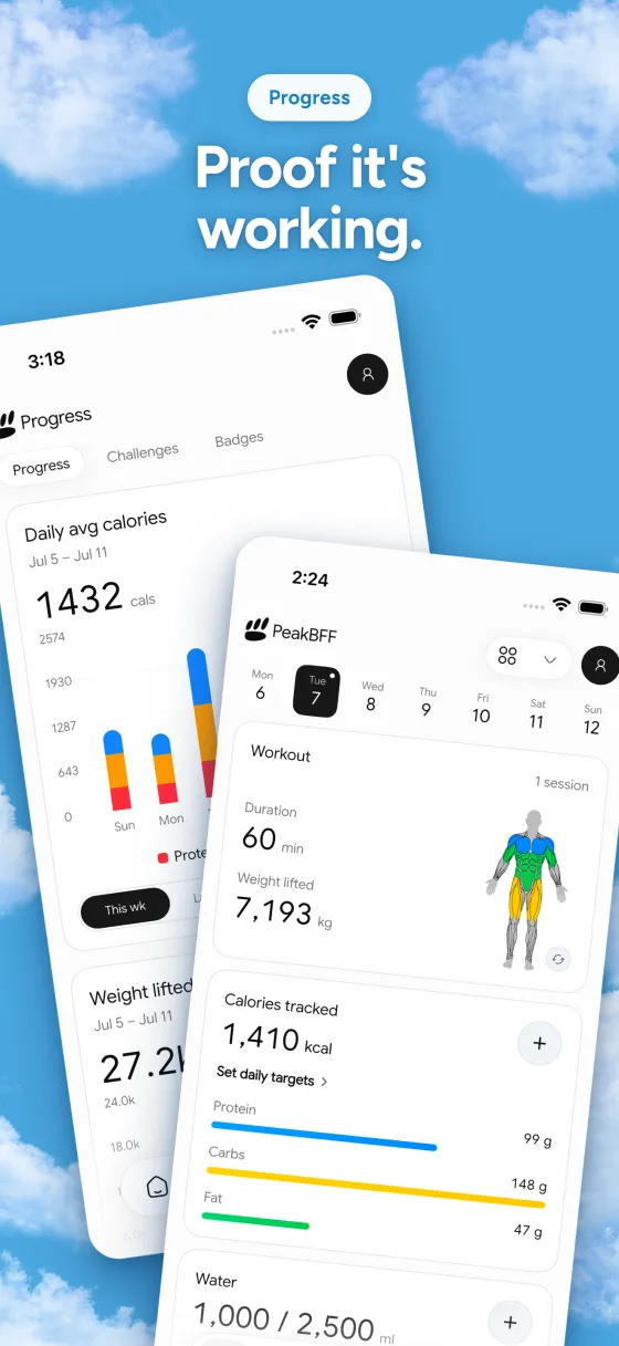 Progress charts and trends